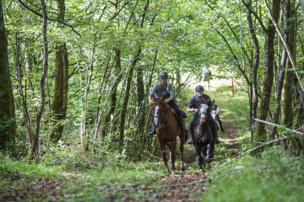 deux cavaliers dans le parc national de Forêts, près de Chaumont en Haute-Marne