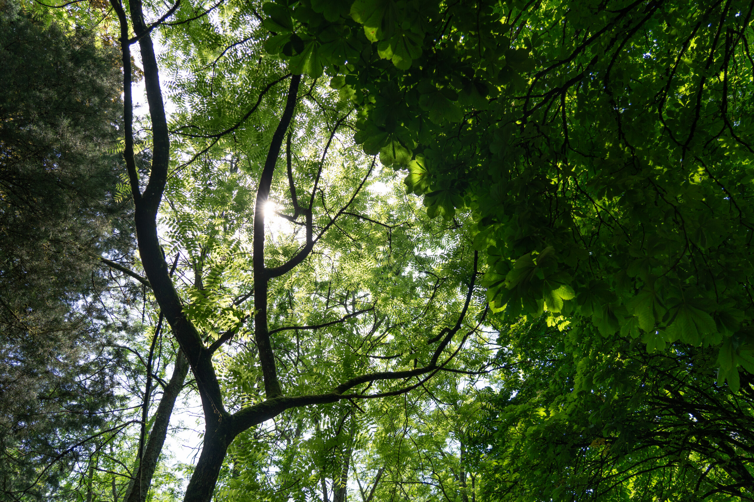 Choisir la Haute-Marne